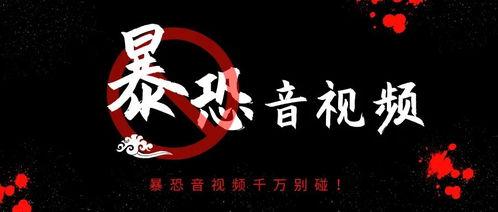 传播暴恐音视频罪,守护网络安全与和谐稳定