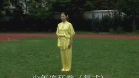 连环拳教学视频