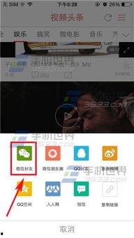 怎么分享视频,掌握高效传播技巧