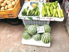 二瓜今日价格行情