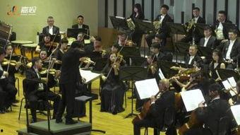 小提琴演奏视频欣赏,小提琴演奏视频中的音乐魅力赏析