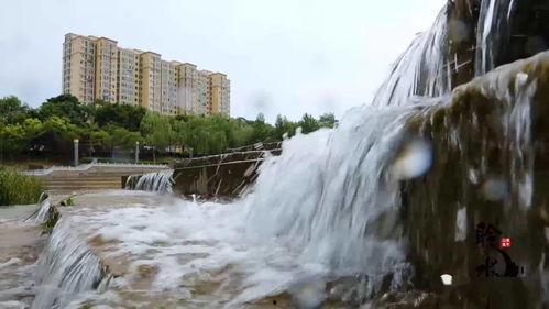 水  视频,视频揭秘水世界的奇幻之旅