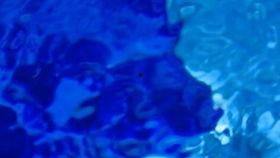 水  视频,视频揭秘水世界的奇幻之旅