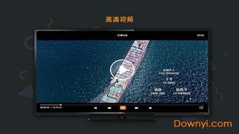 集视频,一窥XX领域的精彩瞬间