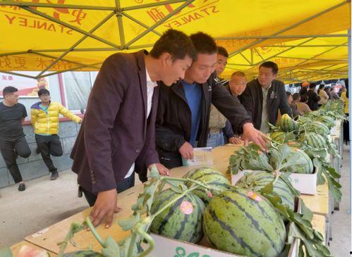 河南艺术学院吃瓜爆料,吃瓜爆料揭露惊人内幕