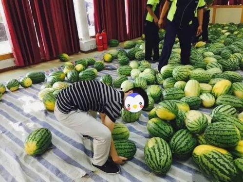 河南艺术学院吃瓜爆料,吃瓜爆料揭露惊人内幕