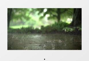 雨的视频,捕捉自然旋律的瞬间