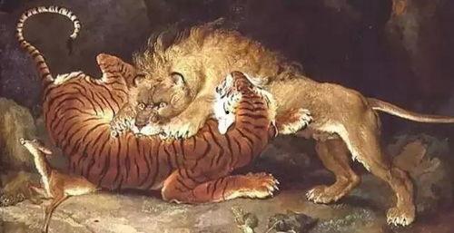 老虎咬死三只狮子视频