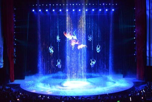 河南杂技表演视频,千年技艺，惊鸿一瞥