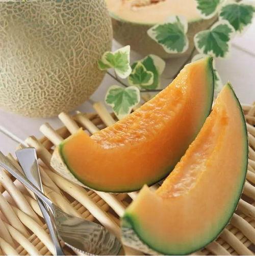 今日红星市场哈密瓜价格,价格行情一览