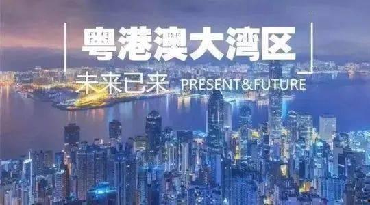 粤港澳大湾区视频,创新引擎下的未来城市协同发展