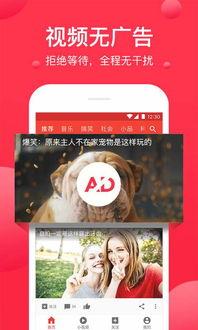 河美吃瓜爆料视频大全下载,揭秘娱乐圈幕后真相