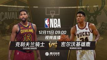nba在线直播视频直播,精彩对决实时呈现