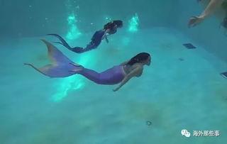 人鱼视频,探寻海洋深处的奇幻世界
