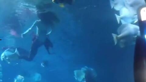 人鱼视频,探寻海洋深处的奇幻世界