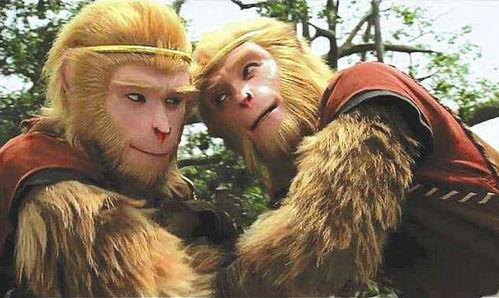 真假孙悟空视频,揭秘神话传说中的传奇对决