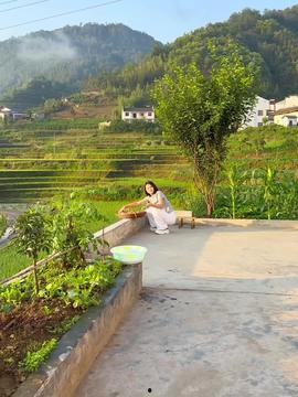 乡村视频,探寻自然之美与人文之韵