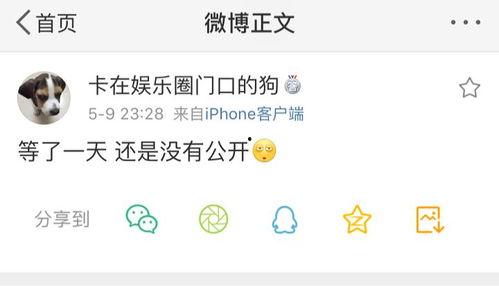 吃瓜爆料配乐叫什么歌名,揭秘“吃瓜爆料”热门配乐背后的故事