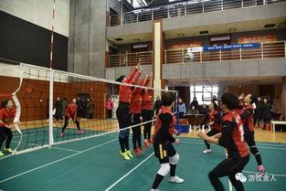 全国气排球比赛视频,全国气排球比赛精彩瞬间大盘点