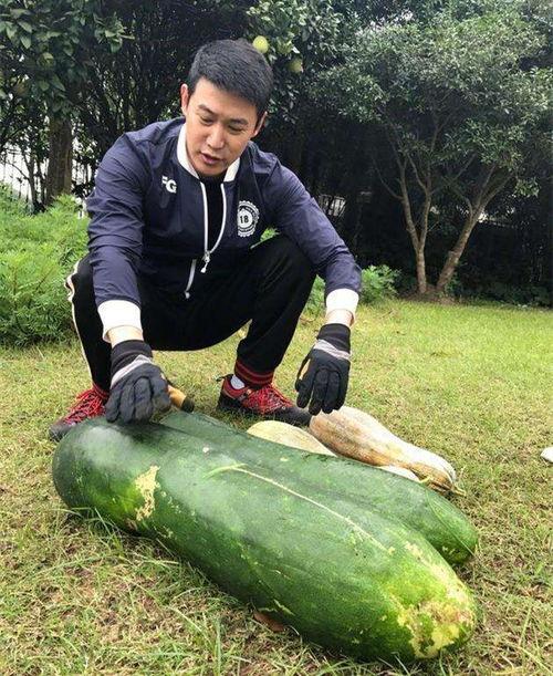 吃瓜爆料李永钦,揭秘李永钦背后的故事