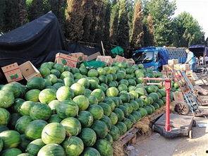 吃瓜爆料30万,揭秘30万背后的惊人真相