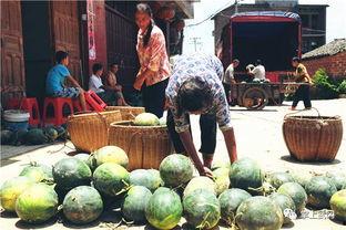 吃瓜爆料30万,揭秘30万背后的惊人真相