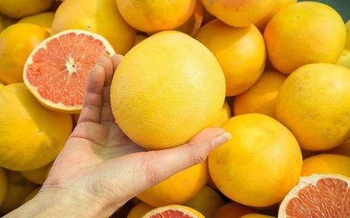 柚子君吃瓜爆料,娱乐圈最新瓜料大揭秘